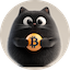 BITCAT/USDT