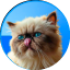 MIGGLES/USDT