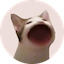 POPCAT/USDT